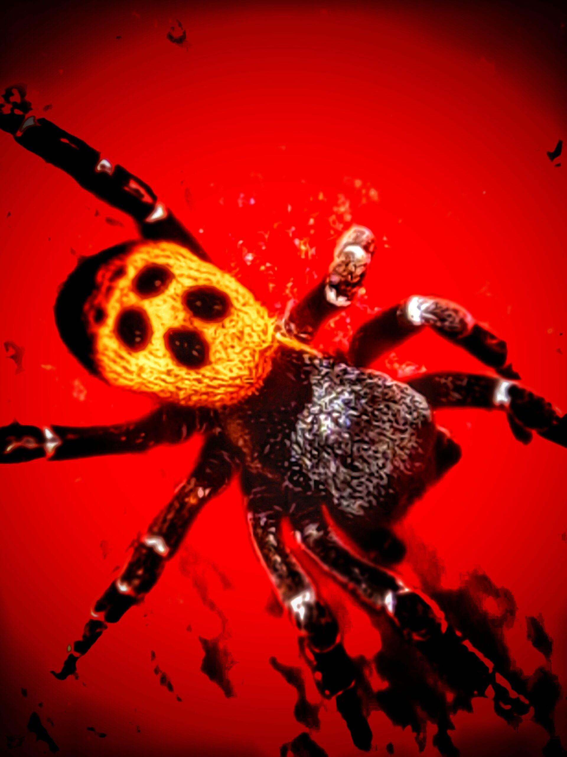 photo 1674833860727 ee108d86c9d1